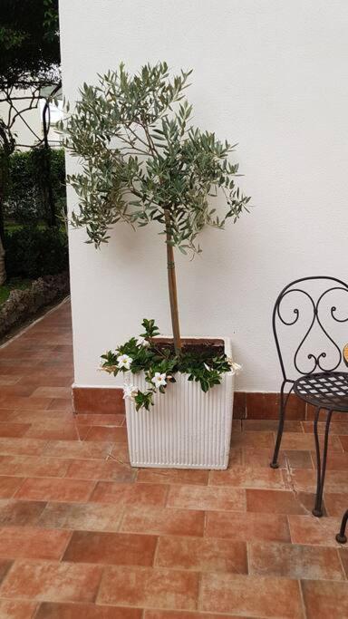 Giardino Mediterraneo Lacco Ameno  Exterior photo