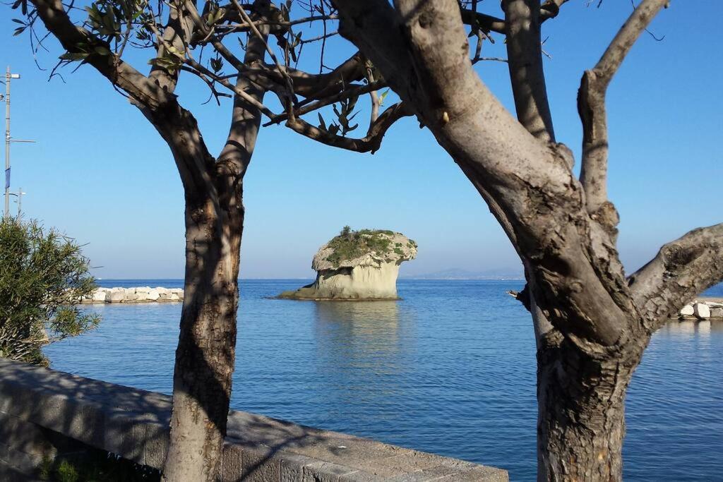 Giardino Mediterraneo Lacco Ameno  Exterior photo