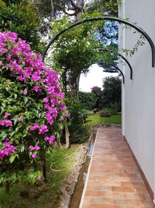 Giardino Mediterraneo Lacco Ameno  Exterior photo